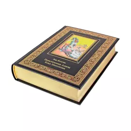 The leather-bound book "Alice's Adventures. The treasure of Napoleon. (The third book)." Kir Bulychev